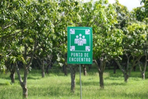 Gobierno central realiz&oacute; exitosa Simulaci&oacute;n Nacional de Evacuaci&oacute;n por terremoto.